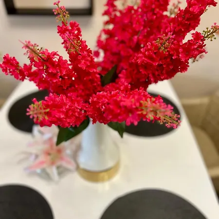 شقة Urban Nest - Near Center And Bus Station